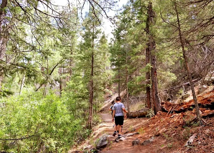 Holiday home Incredible Log With Gorgeous Sights In Pinetop, Arizona *