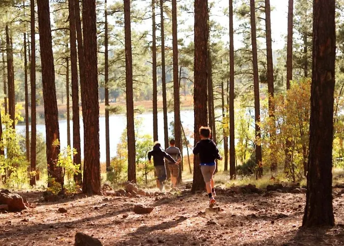 Holiday home Incredible Log With Gorgeous Sights In Pinetop, Arizona Pinetop-Lakeside
