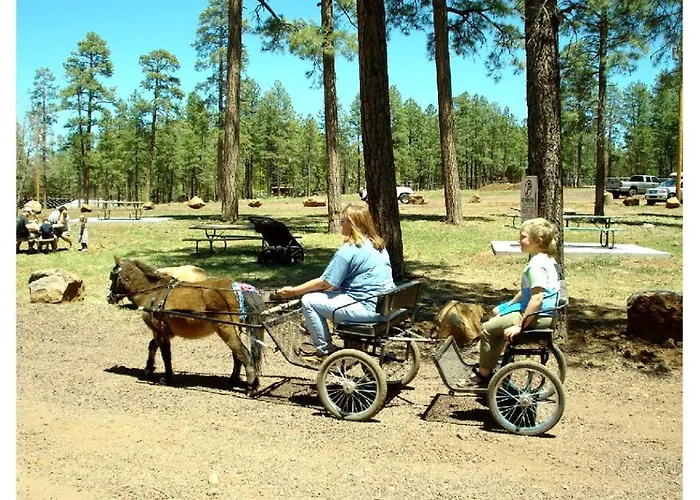 Holiday home Incredible Log With Gorgeous Sights In Pinetop, Arizona *